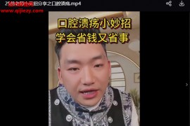 苗太傅苗老师小灵招3套中医视频课程合集百度网盘下载学习