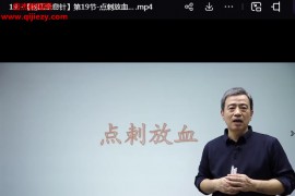 杨磊杨氏全息针线上+线下+答疑视频课程共42讲百度网盘下载学习
