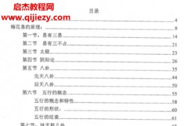 唐友权著梅花精断电子书pdf百度网盘下载学习