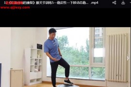 冉冉运动膝关节疼痛的康复全12讲视频课程百度网盘下载学习