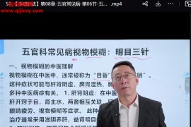邢舸灵动针法线上视频课程58集百度网盘下载学习