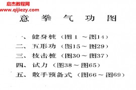 王安平著意拳气功电子书pdf百度网盘下载学习
