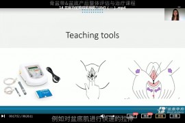 骨盆带盆底产后整体评估与治疗国际课程中文翻译与语音视频课程33集百度云网盘下载学习