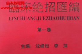 沈峰松李萍主编临床絶招汇编12辑电子书pdf百度网盘下载学习