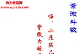 紫微白娘子紫微斗数书籍三本合集电子版pdf百度网盘下载学习