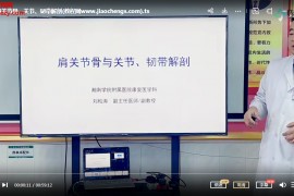 滕康学院刘松涛肩关节精准诊疗视频课程22集百度网盘下载学习