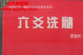 贾秉然著六爻洗髓电子书pdf百度网盘下载学习