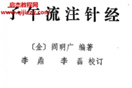 (金)阎明广编著子午流注针经电子书pdf百度网盘下载学习