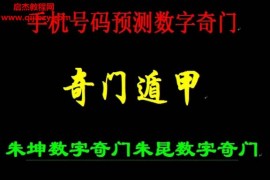 朱坤数字刘氏奇门手机号预测资料2本电子书pdf百度网盘下载学习