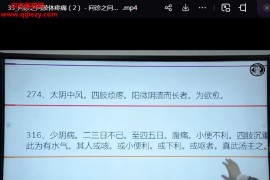 古训堂陈雷中医问诊详解视频课程34集百度网盘下载学习