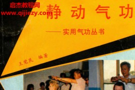 王觉民编著静动气功电子书pdf百度网盘下载学习