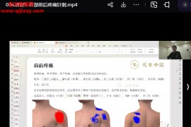 元本中医范成元本针法初级视频课程12节百度网盘下载学习