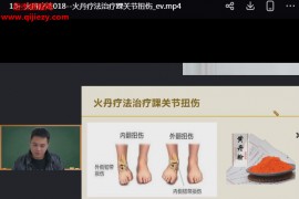 张志刚火丹疗法视频课程20集百度网盘下载学习