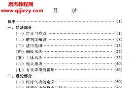 齐永著齐氏气功快速自我祛病法电子书pdf百度网盘下载学习