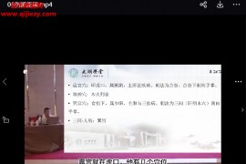 吴雄志吴门奇穴手八门吴门手针视频课程27集百度网盘下载学习
