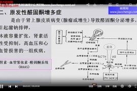 上海市同济医院内分泌科刘光辉纠酸补钾电解质视频课程20集百度网盘下载学习