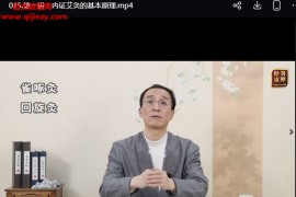 徐泊涛身心同调之内证艾灸实战精讲视频课程百度网盘下载学习