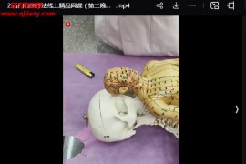 杨皓然百门归宗疗法线上精品网课4晚4集百度网盘下载学习