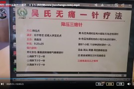 吴士杰合集吴士杰无痛一针疗法面授班视频课程合集23集百度网盘下载学习