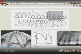 汉尔思社群课杨擎天口腔读片训练营视频课程20集百度网盘下载学习