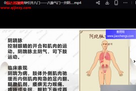 陆治中老师按跷导引开八门视频课程14集百度网盘下载学习
