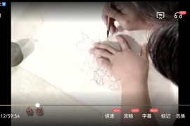 孔智明工笔花鸟画视频课程2集写意画教程百度网盘下载学习
