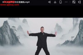 刘海涛太极拳15式视频课程20集百度网盘下载学习