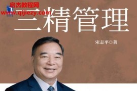 宋志平著三精管理电子书pdfmobiepub格式百度网盘下载学习