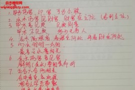 任付红全集任付红八字笔记2019年任付红弟子网络教学视频合集百度网盘下载学习