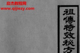 祖传特效秘方一百零六例电子书pdf百度网盘下载学习