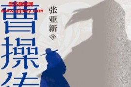 张亚新著曹操传电子书pdfmobiepub格式百度网盘下载学习