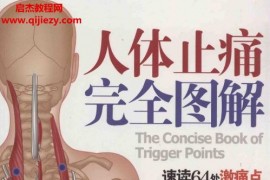 人体止痛完全图解电子书pdf百度网盘下载学习