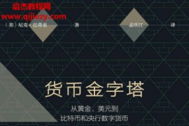 (美)尼克巴蒂亚著货币金字塔电子书pdfmobiepub格式百度网盘下载学习