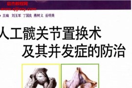 人工髋关节置换术及其并发症的防治电子书pdf百度云网盘下载学习