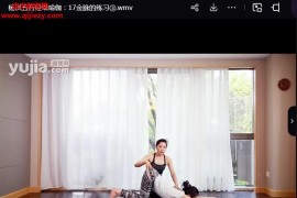 杨琪杨淇养生理疗五行经络瑜伽特色课程视频课程20集百度网盘下载学习
