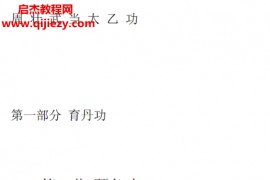 周壮武当太乙功电子书pdf百度网盘下载学习