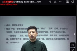 周磊非遗周氏六体针灸线上课18集百度网盘下载学习