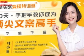 叶小鱼文案实战变现特训营30天手把手教你成为顶尖文案高手一字值千金视频课程30集完结百度网盘下载学习