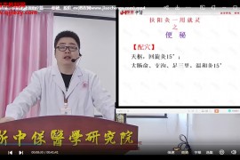 扶阳龙脉灸经络基础篇视频课程19集百度网盘下载学习