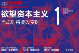 (日)丸山俊一著欲望资本主义套装共4册电子书pdfmobiepub格式百度网盘下载学习