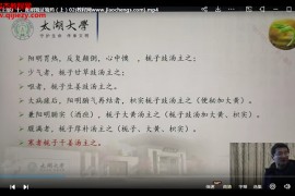 吴雄志药证学上下+用药法视频课程合集66集百度网盘下载学习