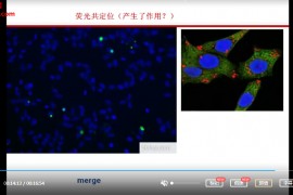 高端SCI论文写作精选套路视频课程14集百度云网盘下载学习