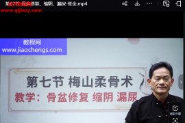 张金梅山柔骨术梅山道家提阳功九龙化骨水膝关节中医视频课程百度网盘下载学习