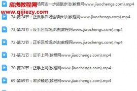 奥运冠军蔡赟羽毛球九大技术视频课程75集百度网盘下载学习