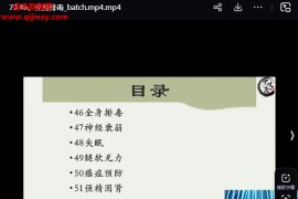 妙诊中岐康正阳归元针1999元直播视频课程76集百度网盘下载学习