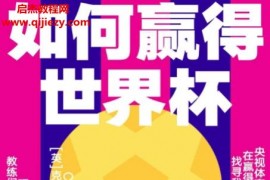 (英)克里斯埃文斯著如何赢得世界杯电子书pdfmobiepub格式百度网盘下载学习