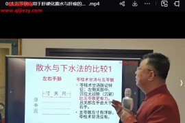 黄俊杰伊尹派仲景六病定位及脉法真传班(一)视频课程19集百度网盘下载学习