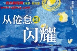 (英)琳恩斯宾塞著从倦怠到闪耀电子书pdfmobiepub格式百度网盘下载学习