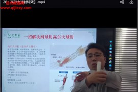 陈雪原中医开关疗法18核心技术教学降魔十八掌视频课程21集百度网盘下载学习