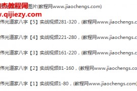 张伟光道家八字实战视频课程320集带图片资料百度云网盘下载学习八字教程